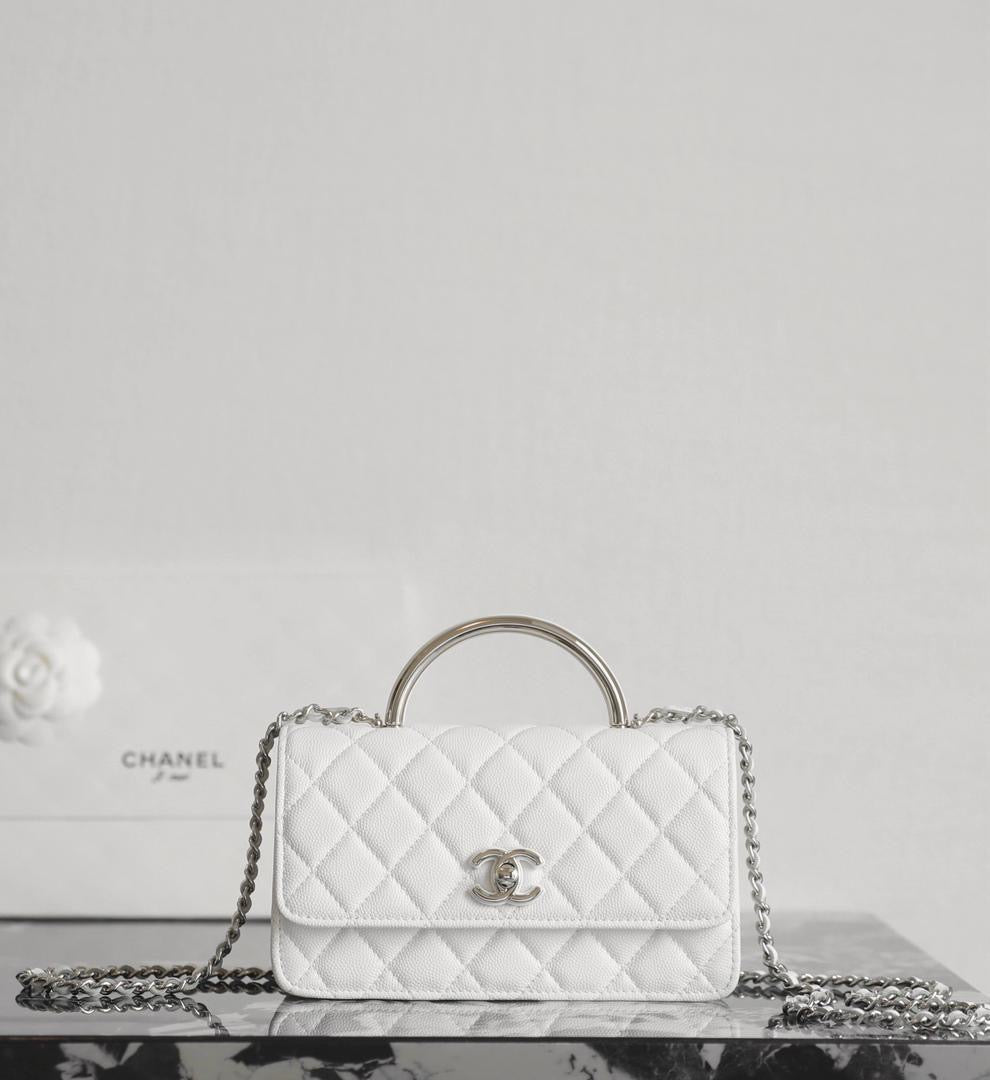 Chanel bags collection.