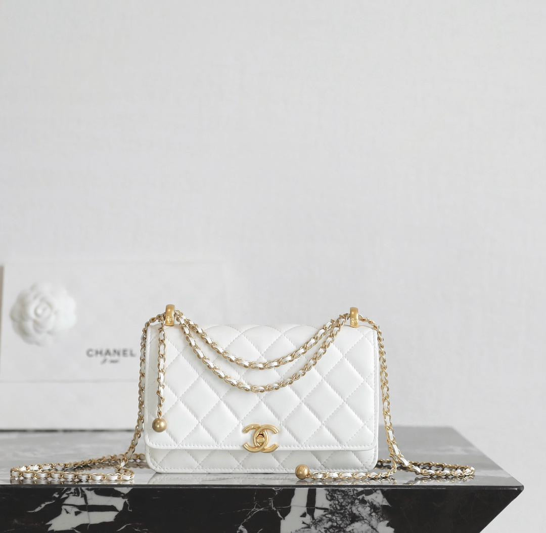 Chanel bags collection.
